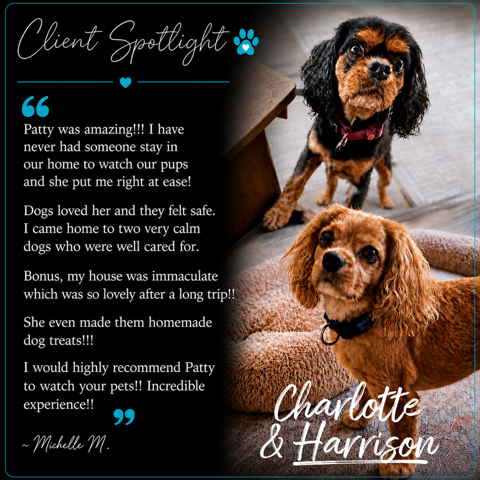 Client Spotlight testimonial featuring Charlotte and Harrison