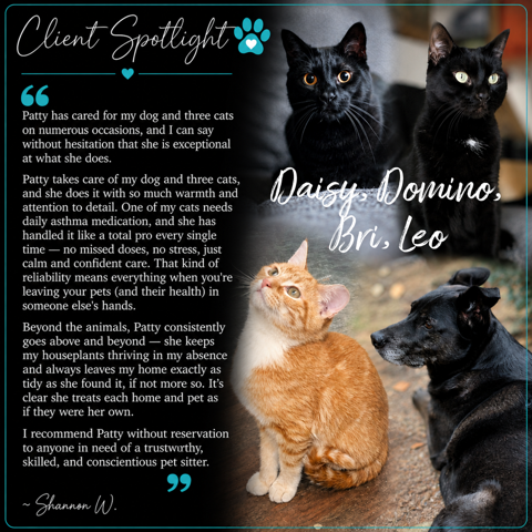 Client Spotlight testimonial featuring Daisy, Domino, Bri and Leo