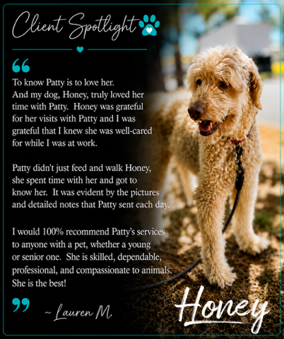 Client Spotlight testimonial featuring Honey