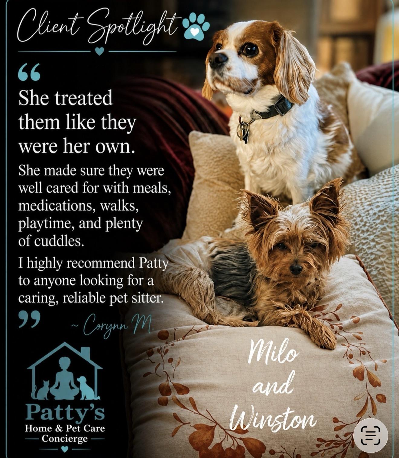 Client Spotlight testimonial featuring milo and winston